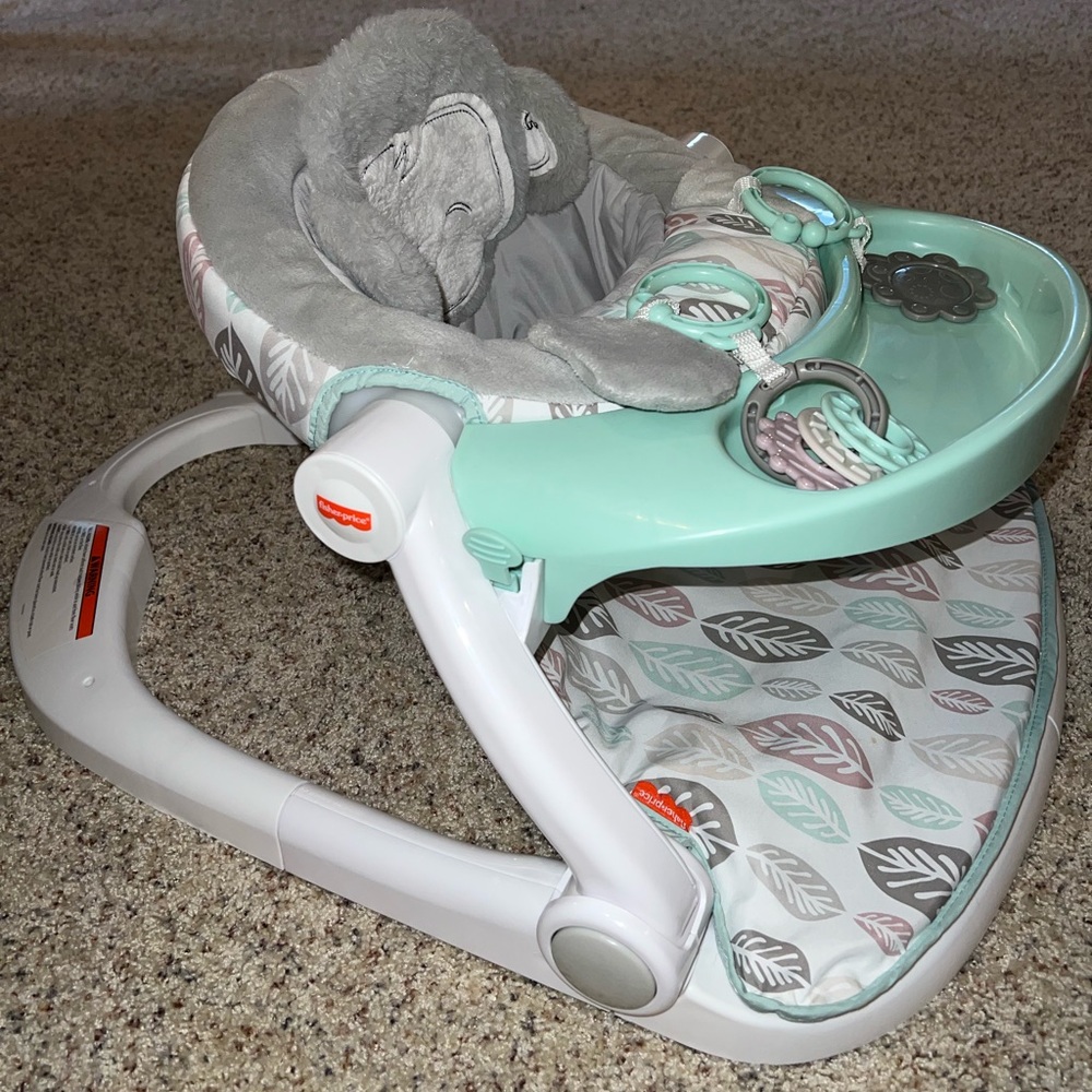 Fisher-Price Snugamonkey Sit Me Up Floor Seat - Mint and Gray